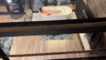 Lemélytorkoztam a fickóm legjobb barátja kolbászát miután nyakon csípett hancúrozás közben bevadulva a kádban Thumb