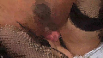 Mediterrán travi sunák egymást döngetik Thumb