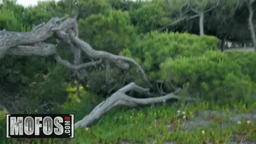 Amira Adarah zsetonért baszható Thumb